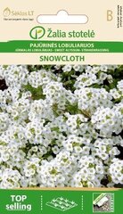 Лобулярия Snowcloth цена и информация | Семена цветов | 220.lv