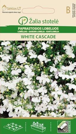 Lobēlijas WHITE CASCADE cena un informācija | Puķu sēklas | 220.lv
