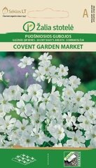 Гипсофила Covent garden market цена и информация | Семена цветов | 220.lv