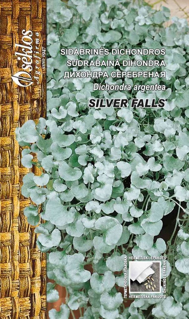 Sudrabainās Dihondras Silver Falls cena un informācija | Puķu sēklas | 220.lv