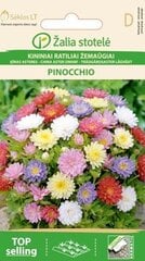 Астра садовая китайская Pinocchio цена и информация | Семена цветов | 220.lv