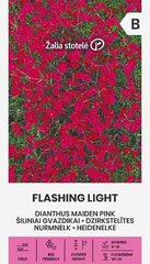Гвоздика травянка Flashing light цена и информация | Семена цветов | 220.lv
