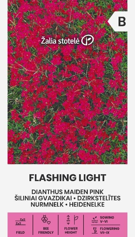 Dzirkstelītes FLASHING LIGHT цена и информация | Puķu sēklas | 220.lv