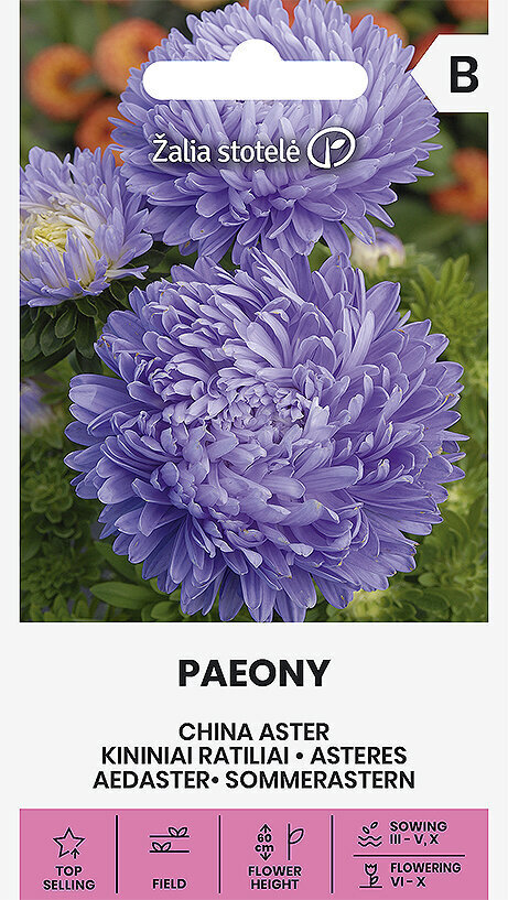 Asteres PAEONY VIOLET cena un informācija | Puķu sēklas | 220.lv