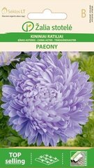 Asteres PAEONY VIOLET цена и информация | Семена цветов | 220.lv