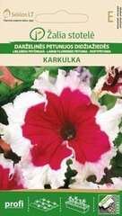 Petūnijas KARKULKA cena un informācija | Puķu sēklas | 220.lv