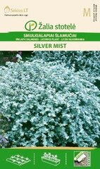 Иммортель Silver mist цена и информация | Семена цветов | 220.lv