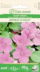 VALLERA balzamīnes IMPREZA H VIOLET cena un informācija | Puķu sēklas | 220.lv