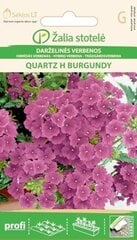 Гибридная вербена Quartz H Burgundy цена и информация | Семена цветов | 220.lv