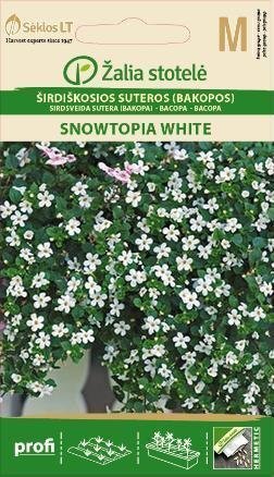 Sirdsveida Sutera (Bakopa) Snowtopia White cena un informācija | Puķu sēklas | 220.lv