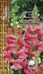 Львиный зев Appleblossom цена и информация | Семена цветов | 220.lv