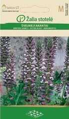 Акант мягкий, белый / фиолетовый цена и информация | Семена цветов | 220.lv