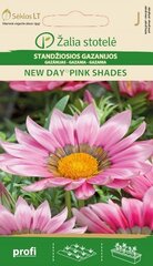 GAZĀNIJAS NEW DAY®PINK SHADES cena un informācija | Puķu sēklas | 220.lv