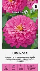 Цинния георгиновидная LUMINOSA цена и информация | Семена цветов | 220.lv