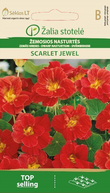 Zemās Kreses Scarlet Jewel цена и информация | Puķu sēklas | 220.lv