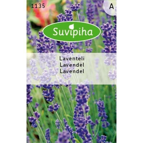 Lavanda /Lavender/, ASEJA, 0.4 g, 11350 (4) цена и информация | Garšvielu sēklas | 220.lv