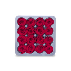 Розы Princess 16 шт., цвет красный цена и информация | Спящие стабилизированные розы, растения | 220.lv