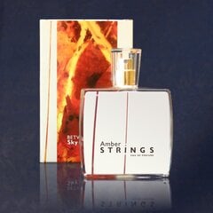 Парфюмированная вода с янтарем внутри Amber Strings Between Sky and Earth edp, 100 мл цена и информация | Мужские духи | 220.lv