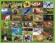 Lielā puzle ABC-Dzīvnieki cena un informācija | Attīstošās rotaļlietas | 220.lv