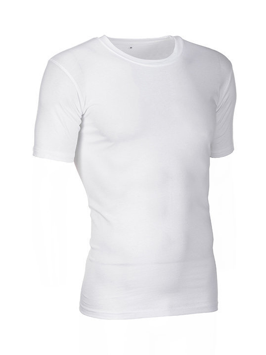 Vīriešu T-krekls Ombre цена и информация | Vīriešu T-krekli | 220.lv