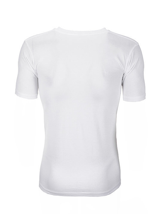 Vīriešu T-krekls Ombre cena un informācija | Vīriešu T-krekli | 220.lv
