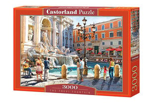 Puzle Puzzle Castorland, 3000 det. cena un informācija | Puzles, 3D puzles | 220.lv
