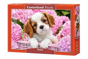 Puzle Puzzle Castorland, 500d. цена и информация | Пазлы | 220.lv