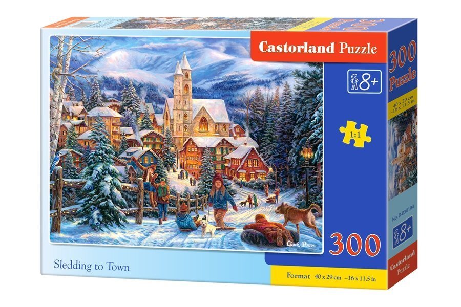 Puzle Castorland 300 gab. cena un informācija | Puzles, 3D puzles | 220.lv