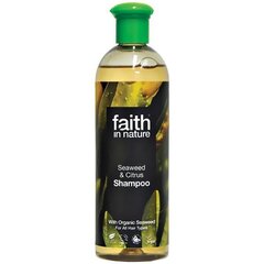 Jūras aļģu šampūns Faith in Nature visiem matu tipiem 250 ml cena un informācija | Faith in nature Smaržas, kosmētika | 220.lv