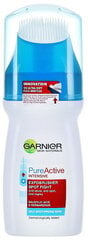 Garnier Pure Active Intense Exfo-brusher cena un informācija | Sejas ādas kopšana | 220.lv
