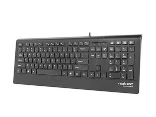 Natec Mulitmedia Keyboard BARRACUDA Slim USB, US layout, Black цена и информация | Клавиатуры | 220.lv