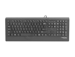 Natec Mulitmedia Keyboard BARRACUDA Slim USB, US layout, Black cena un informācija | Klaviatūras | 220.lv