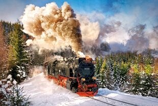 Puzle Puzzle Castorland Steam Train, 1000 detaļas цена и информация | Пазлы | 220.lv