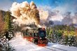 Puzle Puzzle Castorland Steam Train, 1000 detaļas цена и информация | Puzles, 3D puzles | 220.lv