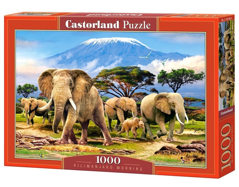 Puzle Puzzle Castorland Kilimanjaro Morning, 1000 det. цена и информация | Puzles, 3D puzles | 220.lv