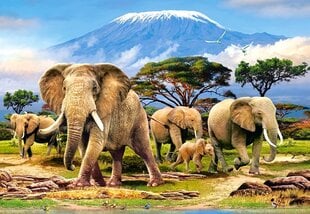 Пазл Castorland Kilimanjaro Morning, 1000 дет. цена и информация | Пазлы | 220.lv