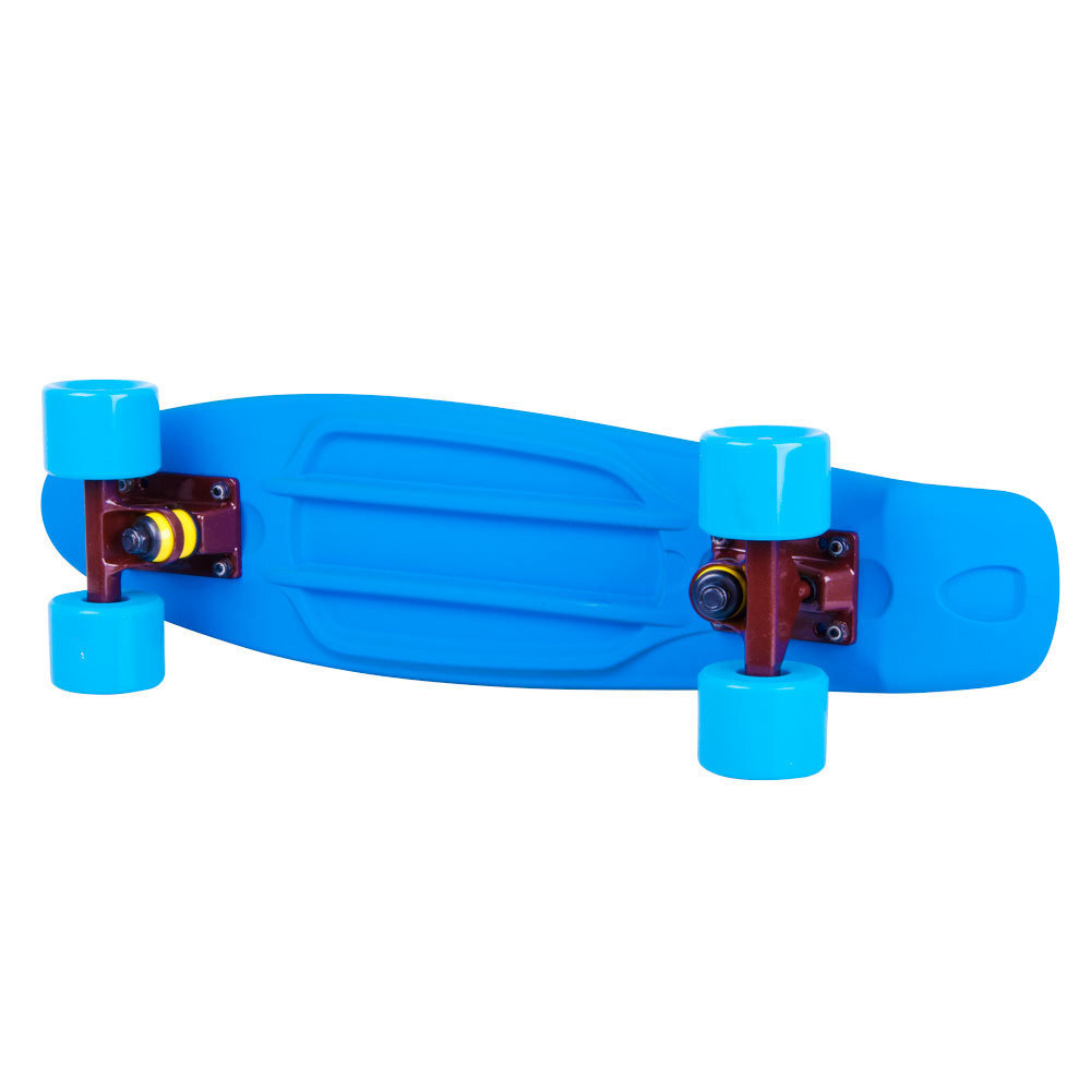 Skrituļdēlis Penny board Worker Sunbow Spitfire 22ʺ cena un informācija | Skrituļdēļi | 220.lv