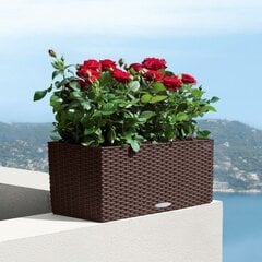 Lechuza puķu pods Balconera Cottage 50, 19 cm цена и информация | Ящики для балкона | 220.lv