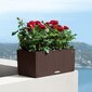 Lechuza puķu pods Balconera Cottage 50, 19 cm цена и информация | Balkona kastes | 220.lv