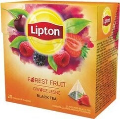 LIPTON melnā tēja ar meža ogu garšu, 20 gab. cena un informācija | Tēja | 220.lv