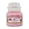 Yankee Candle Mēbeles un interjers internetā