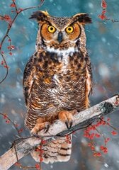 Puzle Puzzle Castorland Great Horned Owl, 500 det. цена и информация | Пазлы | 220.lv