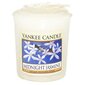 Yankee Candle Midnight Jasmine - Aromatic votive candle 49.0g cena un informācija | Sveces un svečturi | 220.lv