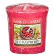 Yankee Candle Red Raspberry aromātiska svece 49 g
