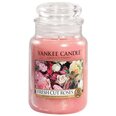 Свеча Yankee Candle Large Jar, свежесрезанные розы, 623 г