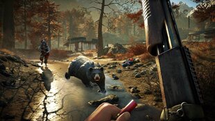 Spēle Far Cry Primal and Far Cry 4 (Xbox One) цена и информация | Компьютерные игры | 220.lv