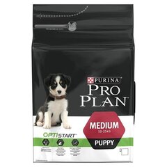 Сухой корм для щенков Pro Plan Puppy Medium, 3 кг цена и информация |  Сухой корм для собак | 220.lv