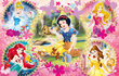 Puzle Clementoni Disney Princess, 2x60 daļas цена и информация | Puzles, 3D puzles | 220.lv