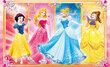 Puzle Clementoni Disney Princess, 2x60 daļas цена и информация | Puzles, 3D puzles | 220.lv