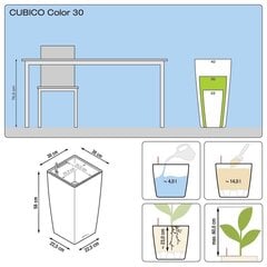 Puķu pods Lechuza Cubico, 22,5x22,5x56,5 cm cena un informācija | Puķu podi | 220.lv